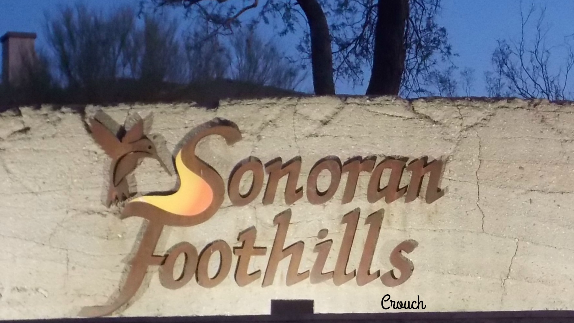 Sonoran Foothills homes in norterra 85085